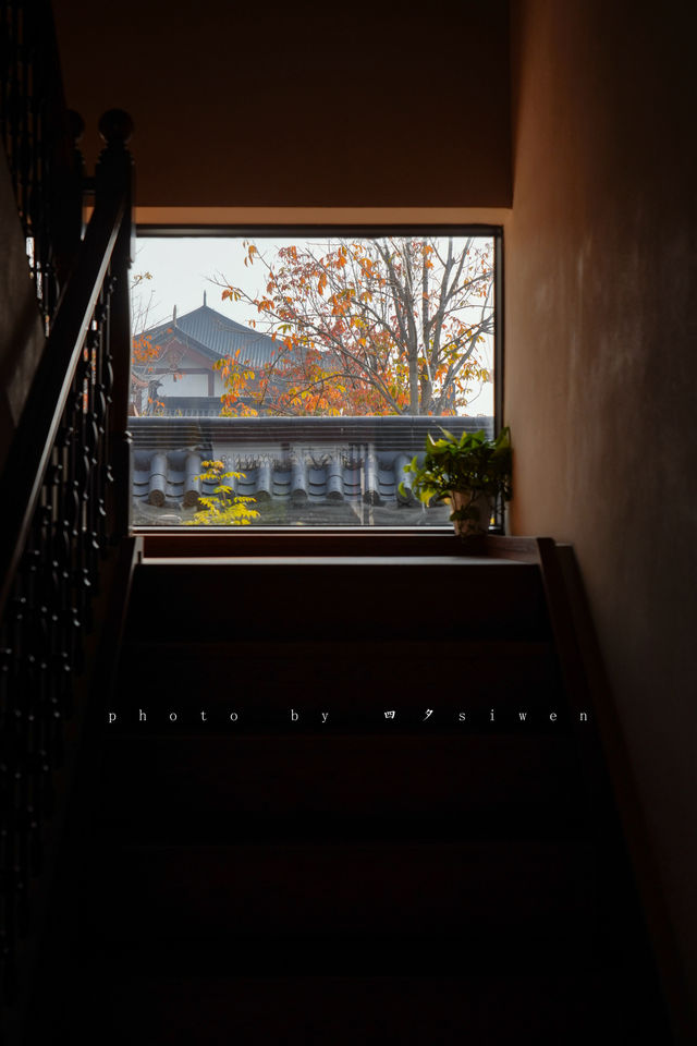 為了這個四合院，我專程奔赴洛陽的秋天