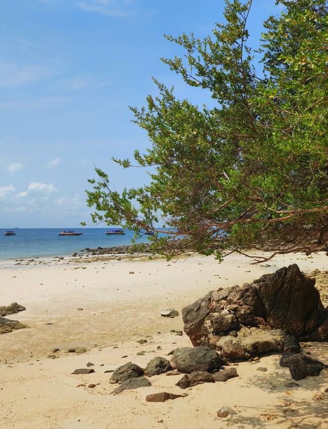 泰國格蘭島必玩攻略|浮潛+摩托艇+降落傘嗨翻天! 泰國格蘭島必玩攻略|浮潛+摩托艇+降落傘嗨翻天!