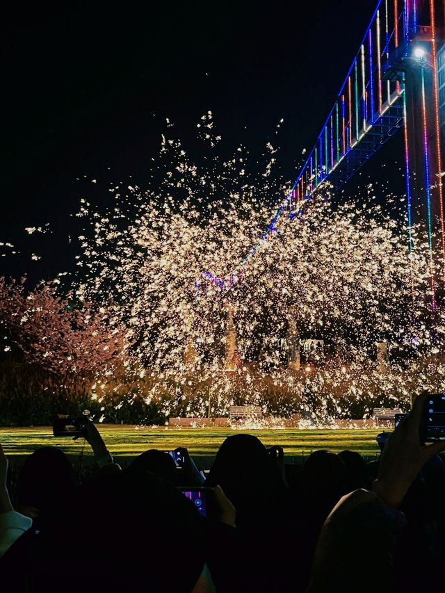 從晨曦到日暮,每一幀都是花漾暴擊 從晨曦到日暮,每一幀都是花漾暴擊