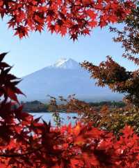 日本3日遊人均1k+玩到爽