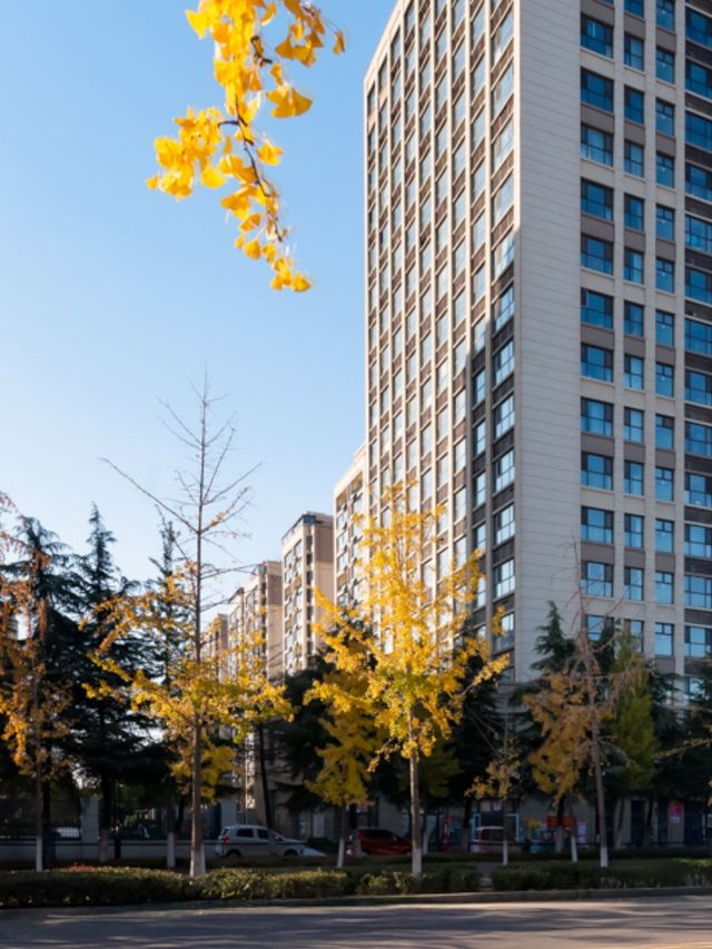 平邑這家酒店太絕了! 平邑這家酒店太絕了!