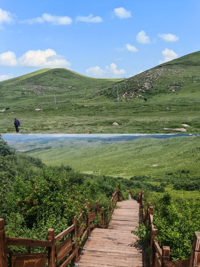 甘南秘境：當周草原的四季變幻