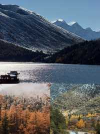 在川西拍到了……