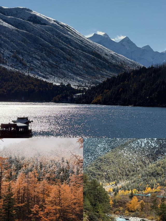 在川西拍到了……