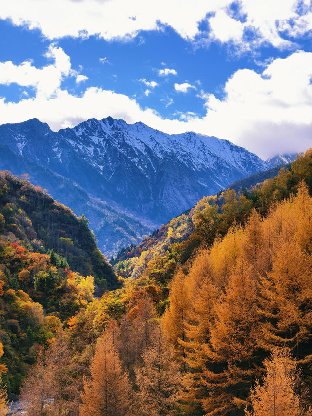 綿陽寶藏賞秋地 | 扒昔加古寨,免費解鎖秋日童話! 綿陽寶藏賞秋地 | 扒昔加古寨,免費解鎖秋日童話!