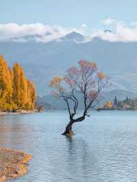 新西蘭是一個深藏不漏的旅遊神秘點