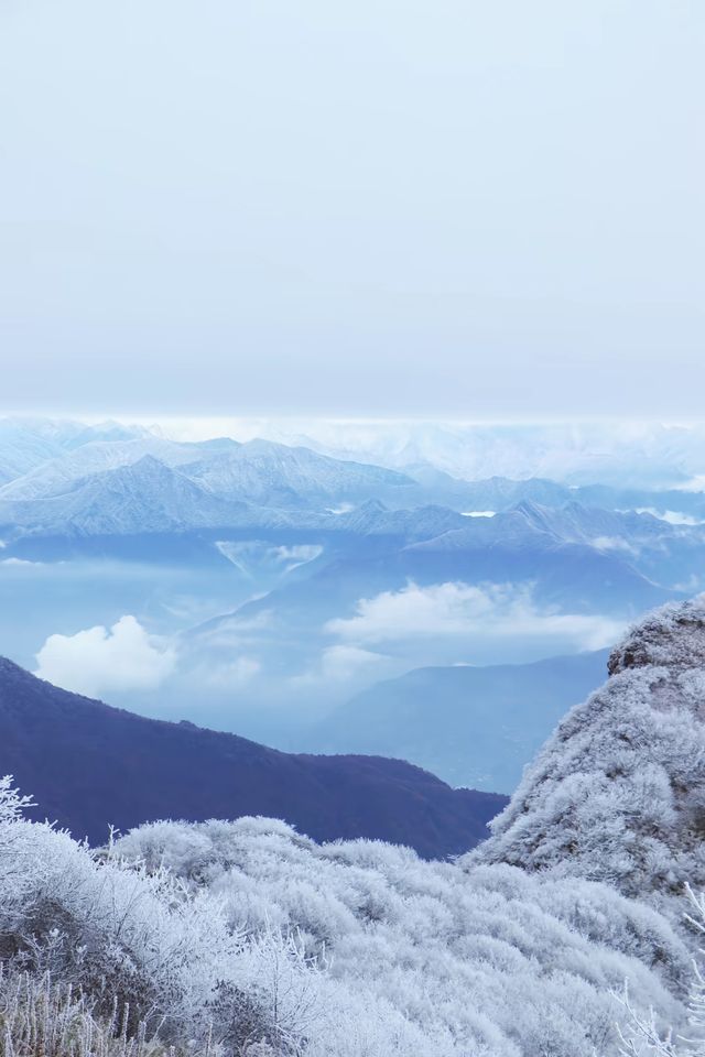 24年千佛山下雪後美哭了！絕美霧淞仙境快來打卡