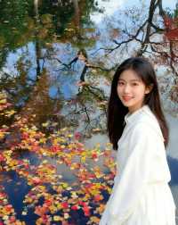 南京賞秋必去！莫愁湖烏桕紅了錯過再等一年