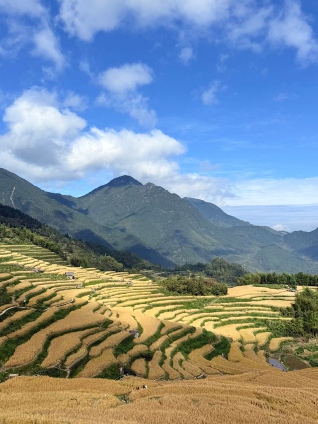 看日出雲海、逛古寨，拍照拍到內存滿