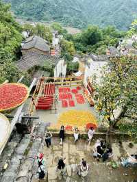 篁嶺的秋色……/與遼寧美女同行