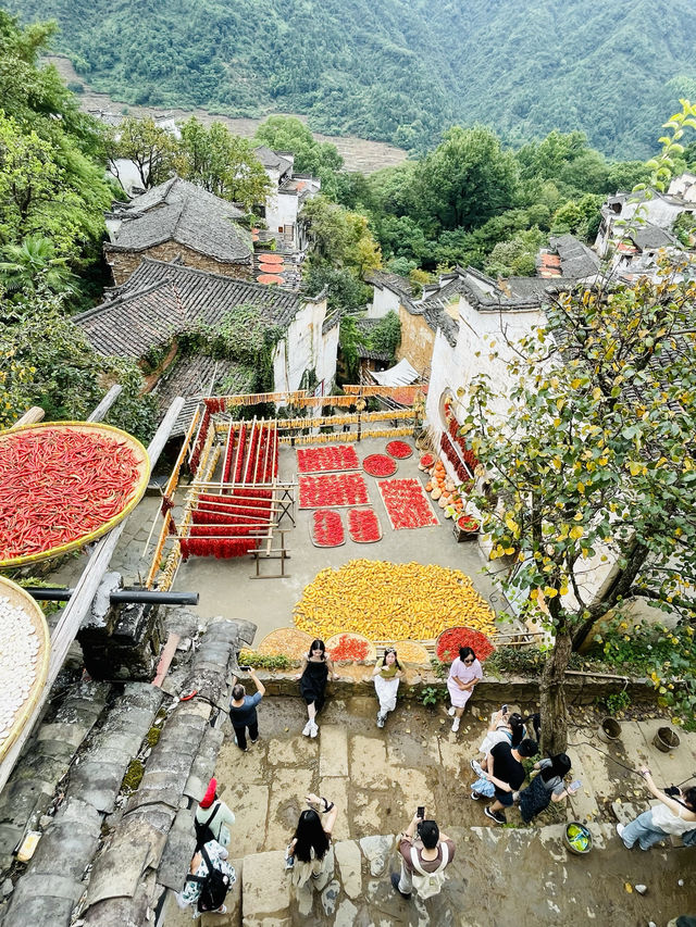 篁嶺的秋色……/與遼寧美女同行