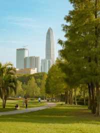 深圳中心公園親子遊地鐵直達！能待一天的寶藏地