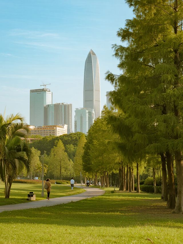 深圳中心公園親子遊地鐵直達！能待一天的寶藏地