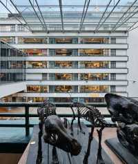 【港澳閨蜜遊心動景點清單】