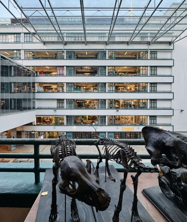 【港澳閨蜜遊心動景點清單】