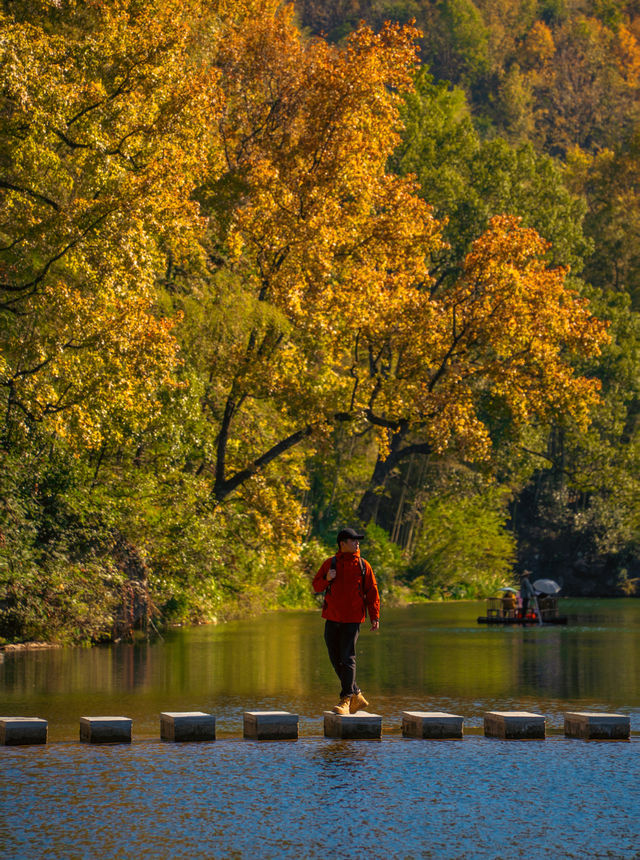 11月後來我逢人便說，婺源的秋景有多美