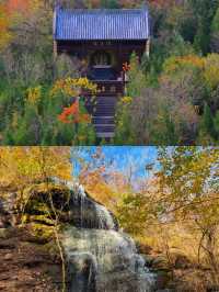 徐州私藏秋景｜馬陵山避世賞楓攻略