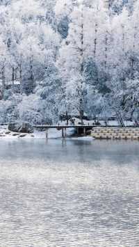 廬山冬日仙境｜必拍如琴湖的唯美雪景