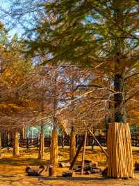 秋日速報！！收到一本宜興的童話書