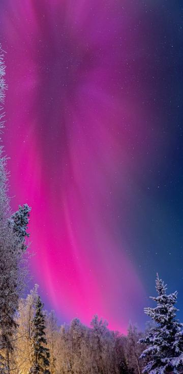 今年のアラスカのオーロラは本当にすごい！！！ | Trip.com デナリ