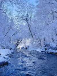 長白山3天2夜直接“殺瘋了”