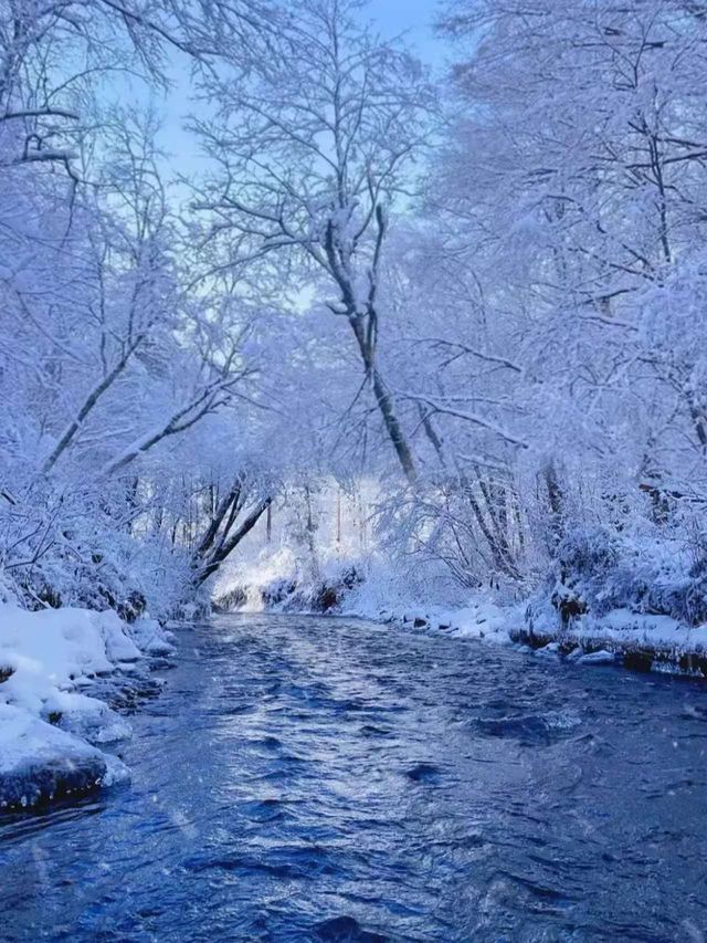 長白山3天2夜直接“殺瘋了”