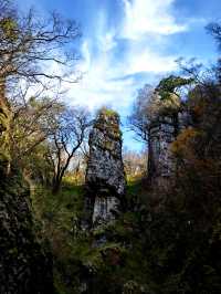 雲霧繚繞龍頭山
