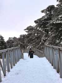 大理蒼山·11.21初雪驚喜攻略·冰雪浪漫速遞  臨時起意·搶佔雪景C位 11.21的蒼山，