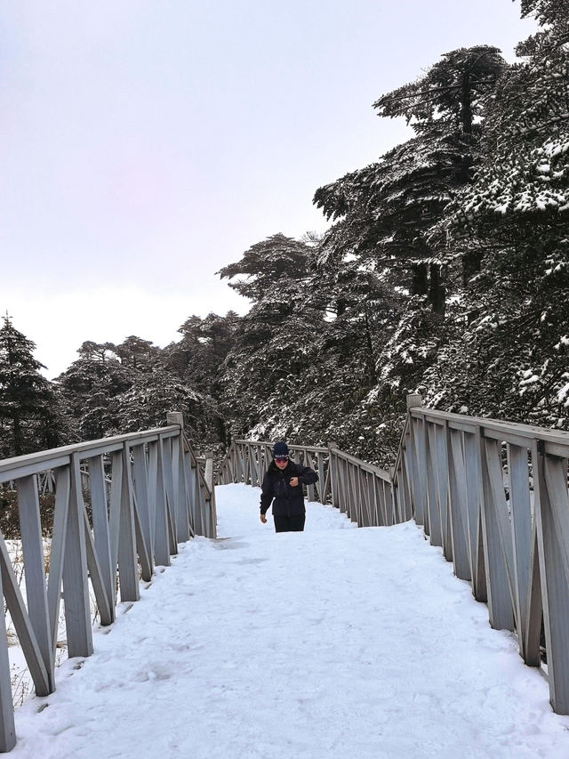 大理蒼山·11.21初雪驚喜攻略·冰雪浪漫速遞  臨時起意·搶佔雪景C位 11.21的蒼山，