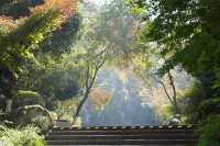 不擠的皖南才香：謎窟+古村的閒庭驚喜