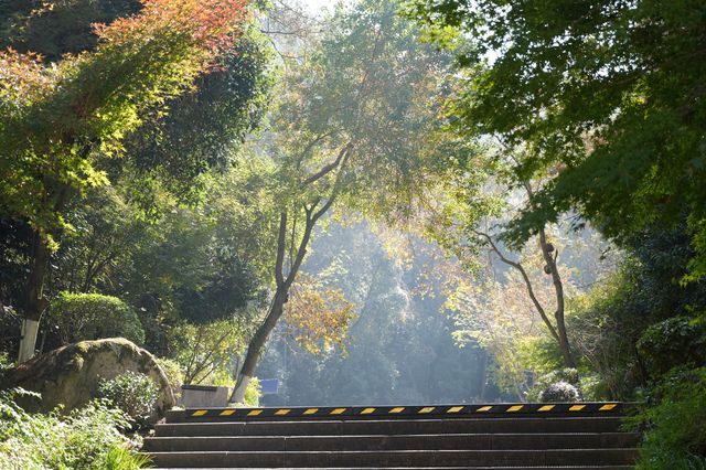 不擠的皖南才香：謎窟+古村的閒庭驚喜