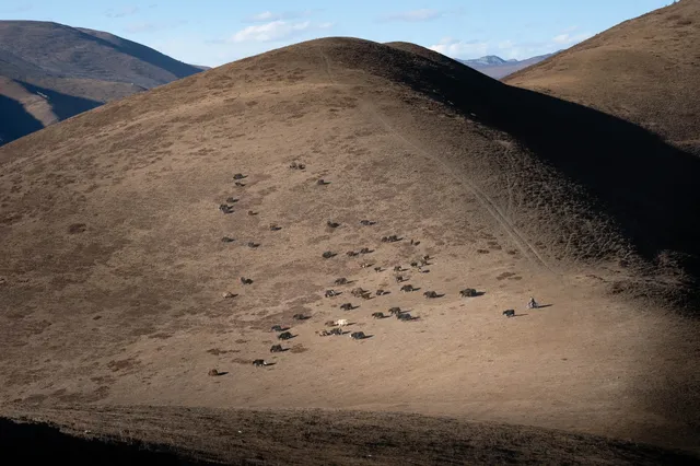 【成都出發】週末玩轉川西！貢嘎+雅拉雪山環線