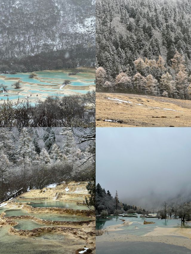 黃龍絕美雪景大公開!誰說黃龍不如九寨的? 黃龍絕美雪景大公開!誰說黃龍不如九寨的?