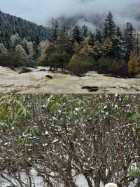 黃龍絕美雪景大公開!誰說黃龍不如九寨的?