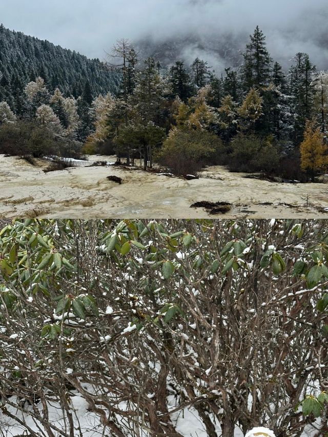 黃龍絕美雪景大公開!誰說黃龍不如九寨的? 黃龍絕美雪景大公開!誰說黃龍不如九寨的?