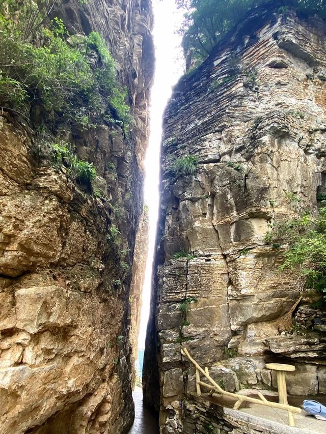 逃離城市計劃：我在保定白石山，找到了宮崎駿漫畫裡的夏天