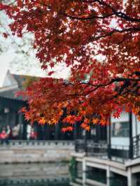 惠山古鎮免費遊玩攻略！秋日限定美景+精華路線