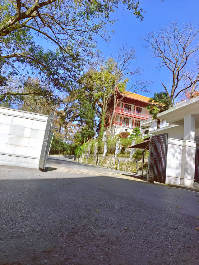 呀，這是什麼地方，這麼美！