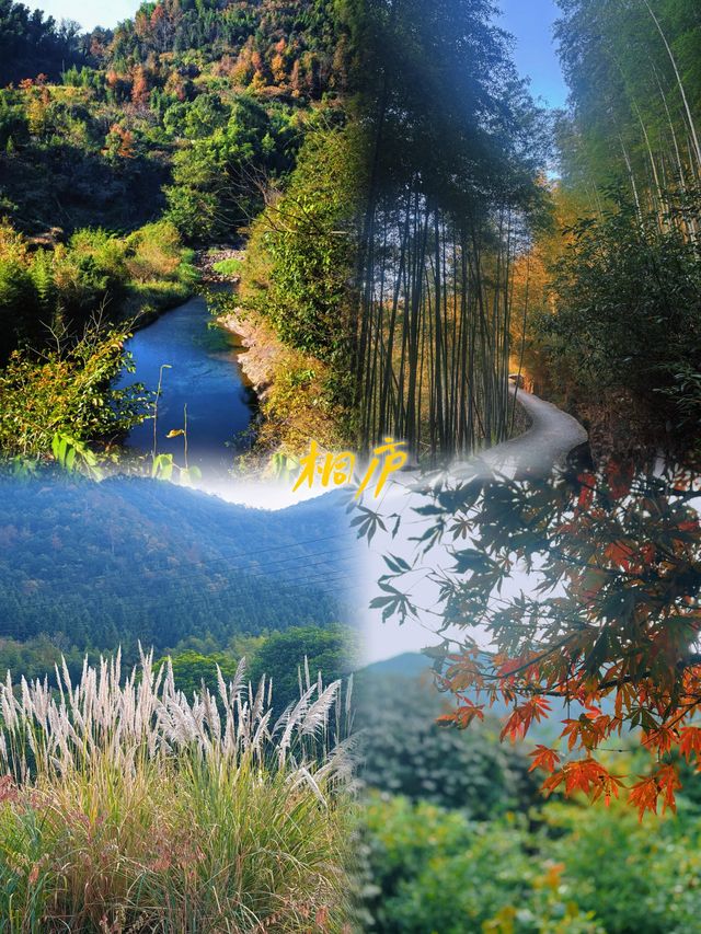 秋冬桐廬,邂逅山野詩畫 秋冬桐廬,邂逅山野詩畫