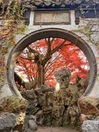 12月初實探｜無錫惠山古鎮，邂逅一場盛大的江南深秋