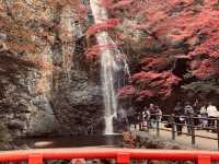 箕面公園|紅葉|箕面の滝