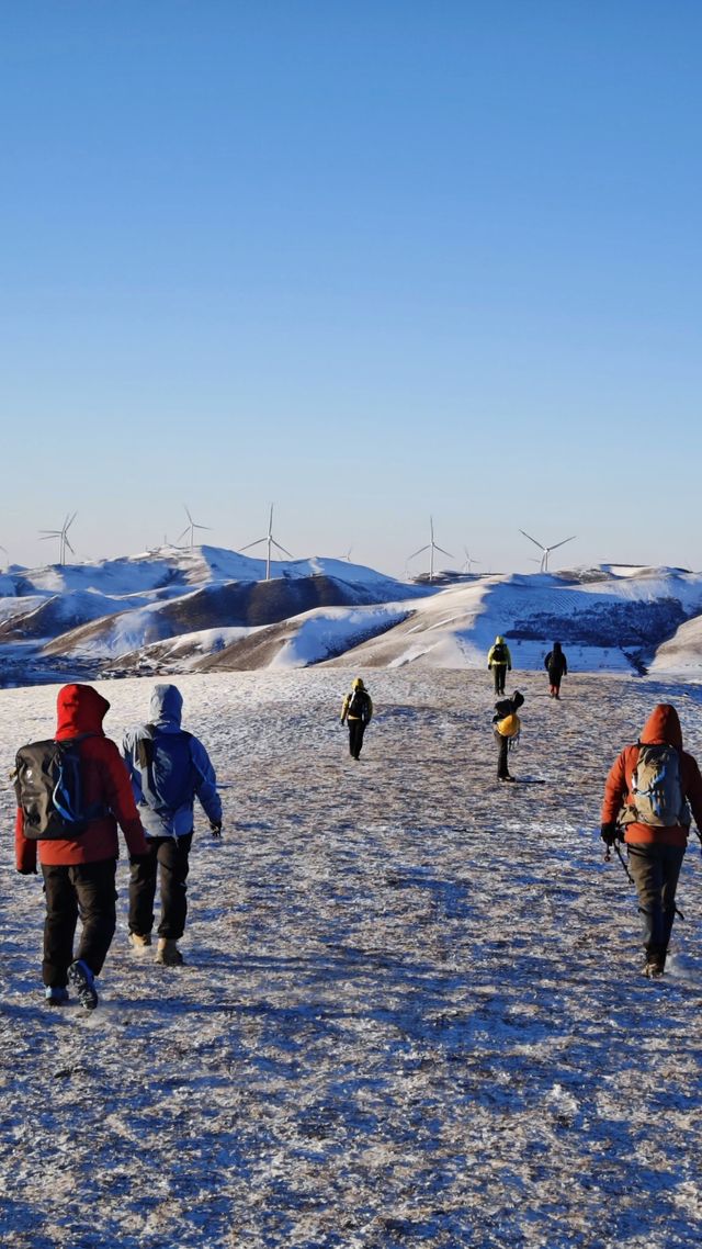 各位驢友，快來交換你們的樺皮嶺雪景圖|||樺皮嶺的