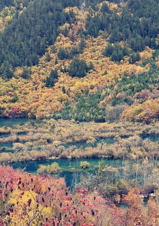 秋日童話九寨溝