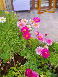 一草一木，皆是禪心