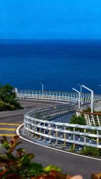 人回來了，心還在霞浦