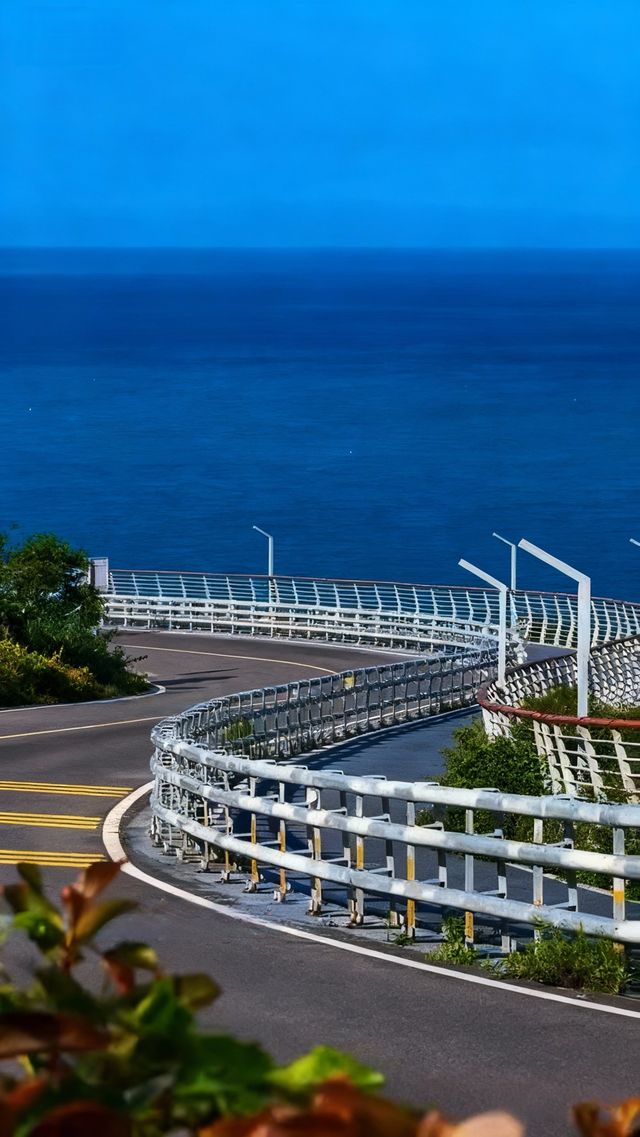 人回來了，心還在霞浦