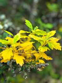 冬棲暖境,歲末安隅