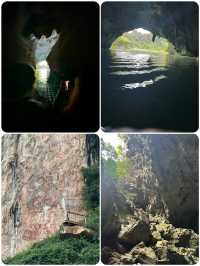 天窗花河｜闖入會開花的水下森林