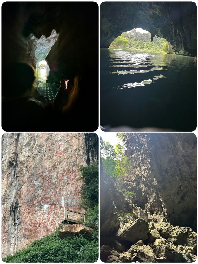 天窗花河｜闖入會開花的水下森林