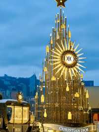 Hong Kong Christmas Vibes Are NEXT LEVEL! 🎄 Must-Visit Trees + Insta-Ready Spots 📸